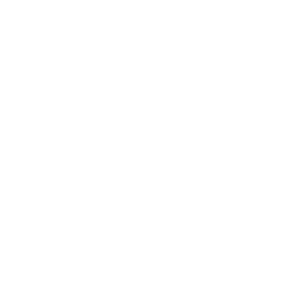 Stéphane PERNET <small style="font-weight:300 !important;">• 06/2024</small>